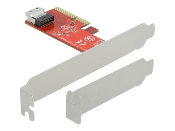 Delock - Grensesnittsadapter - U.2 NVMe - lav profil - PCIe 4.0 x4