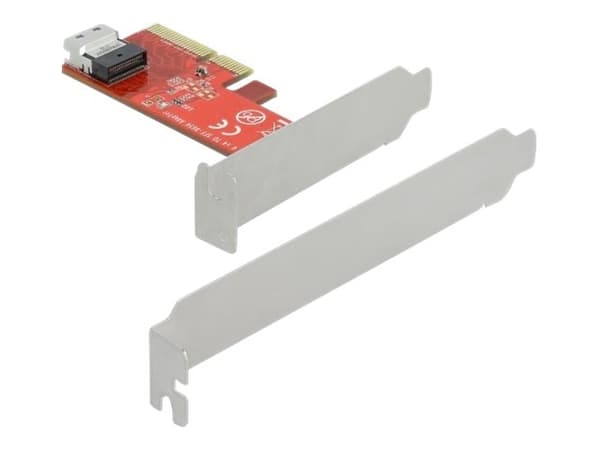 Delock - Grensesnittsadapter - U.2 NVMe - lav profil - PCIe 4.0 x4