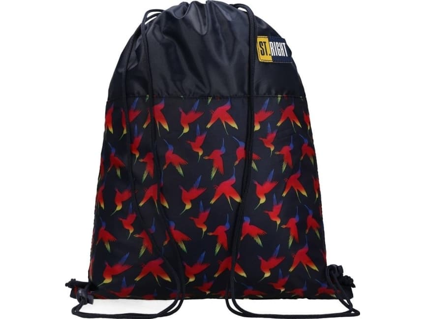St. Majewski. Bag for shoes Rainbow Birds