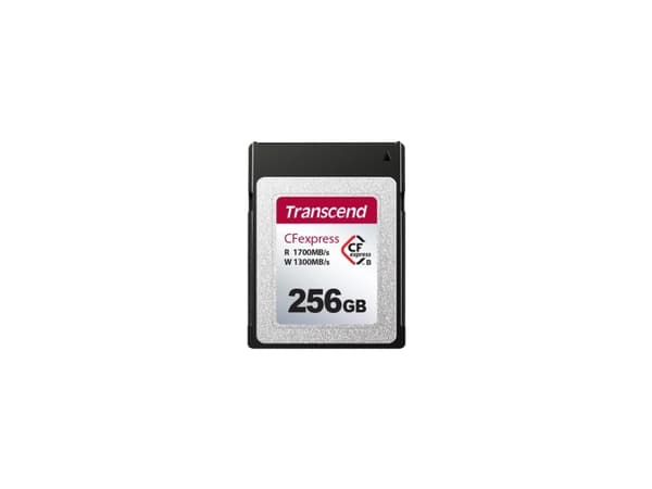 Transcend CFexpress 820 - Flashminnekort - 256 GB - CFexpress Type B