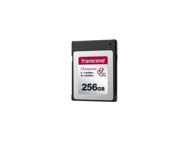 Transcend CFexpress 820 - Flashminnekort - 256 GB - CFexpress Type B