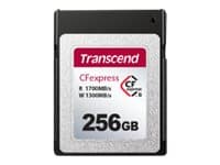 Transcend CFexpress 820 - Flashminnekort - 256 GB - CFexpress Type B