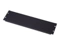 Miniatyrbild 1 av 5: Digitus DN-19 BPN-03-SW - Täckpanel - RAL 9005 - 3U - 19"