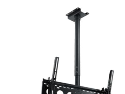 Neovo CMP-01 - Monteringskomponent (stang) - for LCD-skjerm - stål - svart - takmonterbar