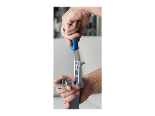 Sanus WSSA1 - Stativ - for høyttaler(e) - eloksert aluminium - hvit - plassering på gulv - for Sonos One, PLAY:1, PLAY:3