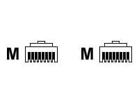 Ricoh - Modemkabel - RJ-11 (hane) till RJ-11 (hane)