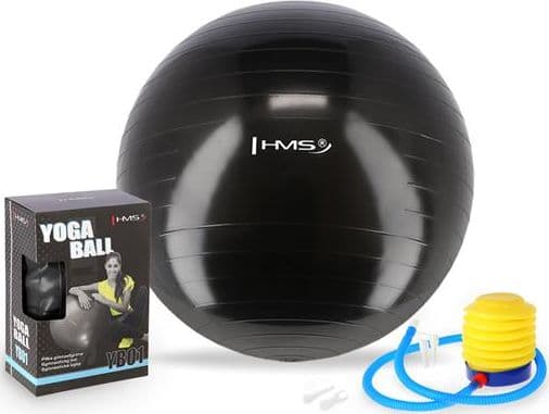 HMS Treningsball YB01 55cm sort