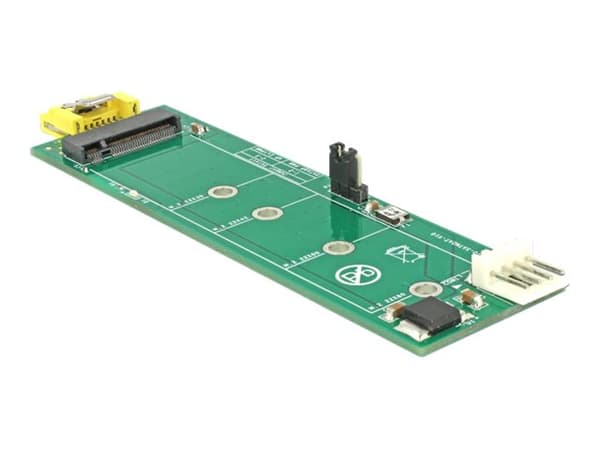 Delock - Grensesnittsadapter - M.2 - M.2 Card