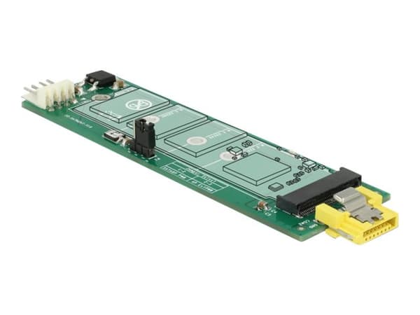 Delock - Grensesnittsadapter - M.2 - M.2 Card