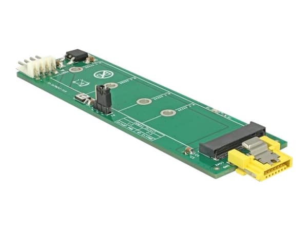 Delock - Grensesnittsadapter - M.2 - M.2 Card