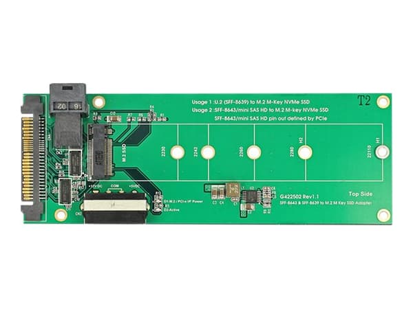 DeLOCK Converter U.2 SFF-8639 / SFF-8643 NVMe > 1 x M.2 Key M - Grensesnittadapter - M.2 (M.2) - M.2 Card - SAS 6Gb/s, U.2 (62945)