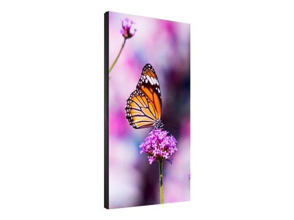 NEC MultiSync UN552VS - 55" Diagonal klasse LED-bagbelyst LCD paneldisplay - interaktiv digital skiltning - 1080p 1920 x 1080 - direkte belyst LED -