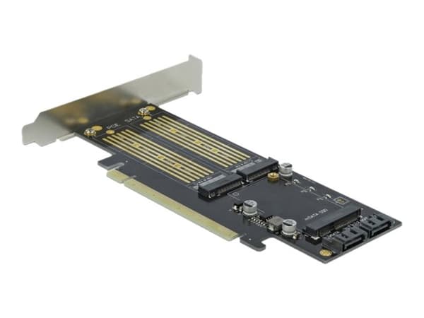 Delock - Lagringskontroll - mSATA, M.2 - M.2-kort / mSATA lavprofil - SATA 6Gb/s, PCIe 4.0 x16