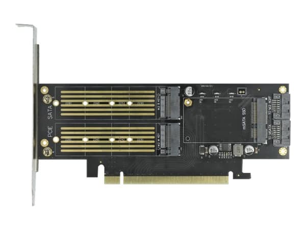 Delock - Lagringskontroll - mSATA, M.2 - M.2-kort / mSATA lavprofil - SATA 6Gb/s, PCIe 4.0 x16