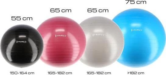 HMS Treningsball YB01 65cm rosa