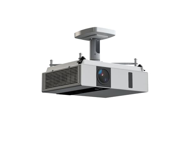 Kindermann 4000000010, Katto, 20 kg, Hopea, Metalli, 180°, -20 - 20°