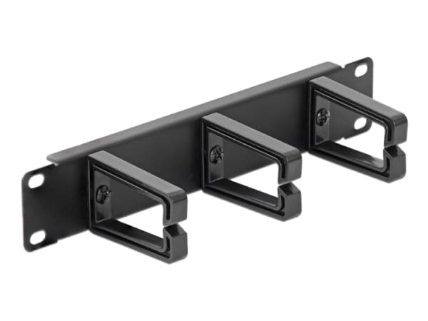 DeLOCK - Panel for kabelhåndtering - 25,4 cm - kulsort, RAL 9005 - 1U - 10"