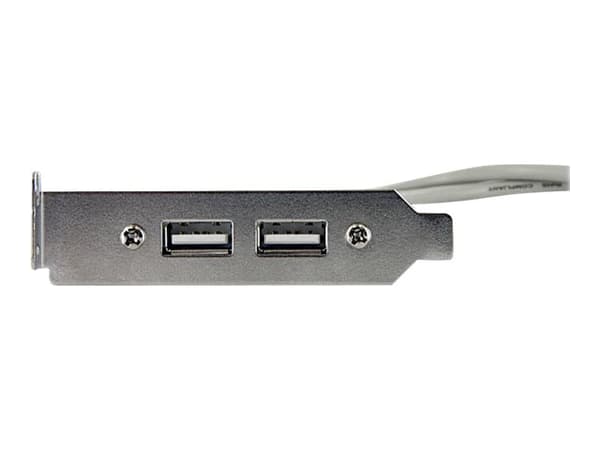 StarTech.com 2 Port USB A Female Low Profile Slot Plate Adapter - 2 Port USB Bracket - USB 2.0 A Female (USBPLATELP) - USB-panel - USB (hun) til 5 pi