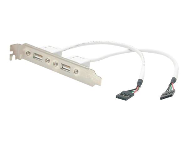 StarTech.com 2 Port USB A Female Low Profile Slot Plate Adapter - 2 Port USB Bracket - USB 2.0 A Female (USBPLATELP) - USB-panel - USB (hun) til 5 pi