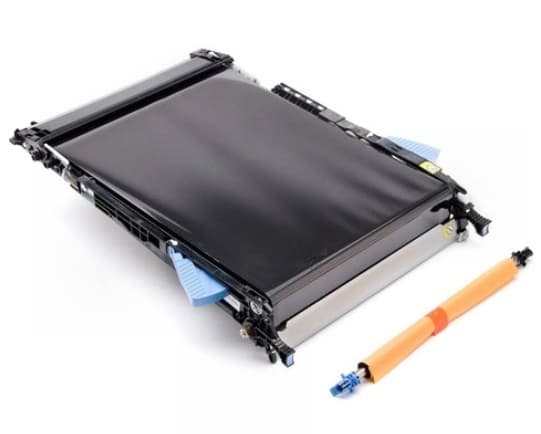 HP CF081-67904, Bälte, Svart, Orange