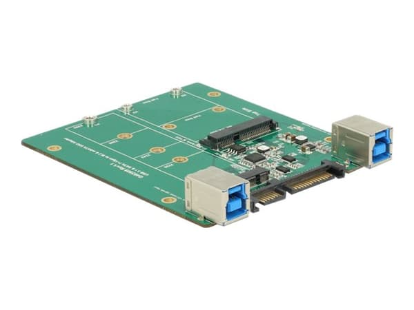 DeLOCK Converter SATA / USB 3.1 type B-kontakt> M.2 / mSATA-spor - Lagringskontroll - mSATA, M.2 - M.2-kort / mSATA - SATA 3Gb/s, USB 3.1 (Gen 2) Sort, Grønn