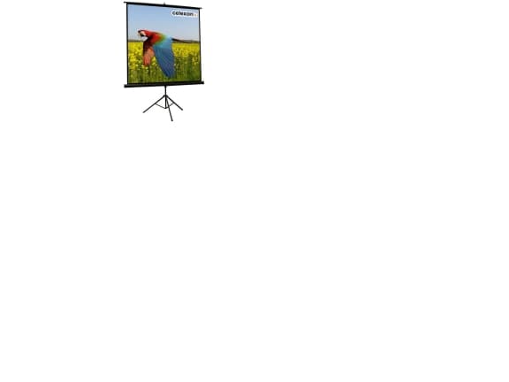 Celexon Economy tripod screen - Projeksjonsskjerm med tripod - 1:1