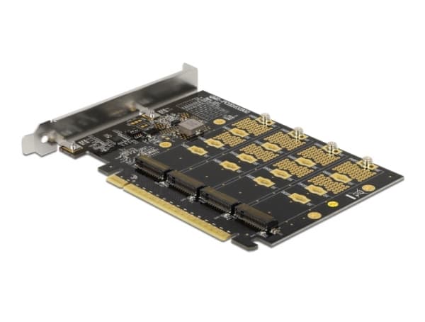 Delock - Kontrollerkort - M.2 - M.2 NVMe Card - PCIe 4.0 x16