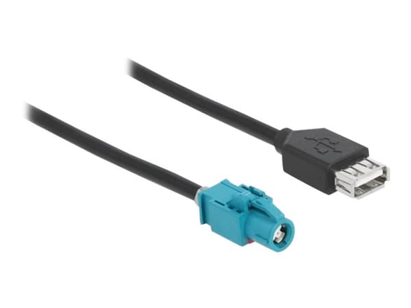 Delock - Datakabel - HSD Z hona till USB hona - 1 m