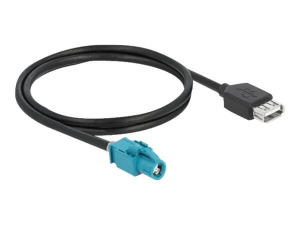 Delock - Datakabel - HSD Z hona till USB hona - 1 m