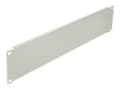 Miniatyrbild 1 av 2: Delock Network Cabinet Blind Cover - Blindpanel till rack - grå - 2U - 19"