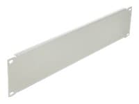Delock Network Cabinet Blind Cover - Blindpanel till rack - grå - 2U - 19"