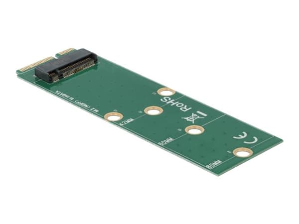 Delock - Grensesnittadapter - M.2 - M.2 Kort - mSATA