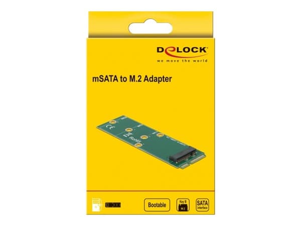 Delock - Grensesnittadapter - M.2 - M.2 Kort - mSATA