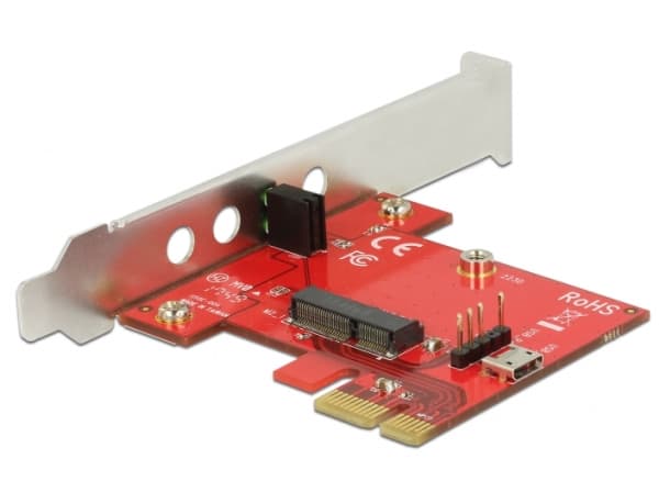 Delock - Kontrollerkort - M.2 - M.2 Card - låg profil - PCIe x1, USB 2.0