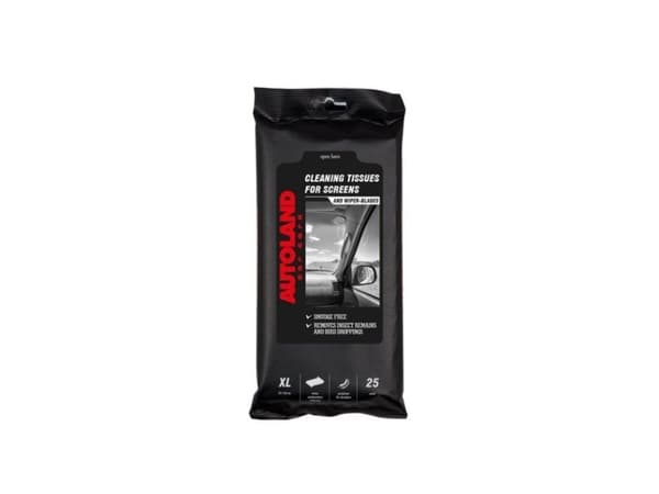 Autoland Damp Car Windows Wipes