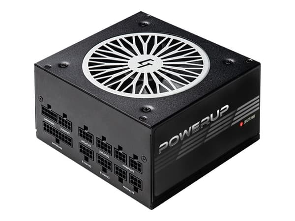 Chieftronic PowerUp Series 650W - Strømforsyning (intern) - ATX12V 2.53 - 80 PLUS Gold - AC 100-240 V - 650 watt - aktiv PFC
