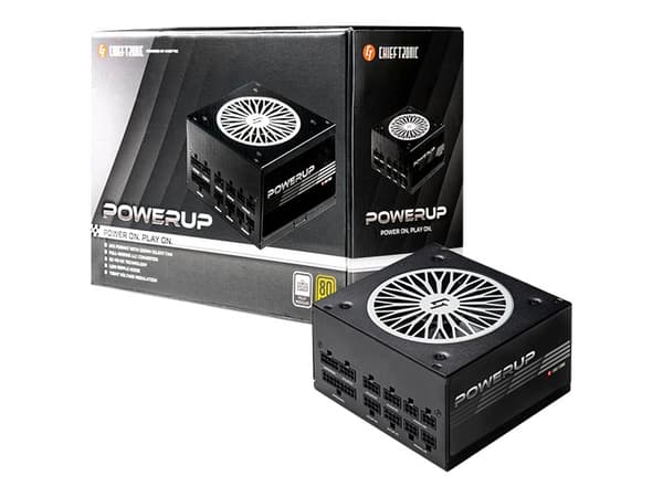 Chieftronic PowerUp Series 550W - Strømforsyning (intern) - ATX12V 2.53 - 80 PLUS Gold - AC 100-240 V - 550 watt - aktiv PFC