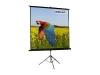 Celexon Economy tripod screen - Projektorduk med stativ - 74" (188 cm) - 1:1
