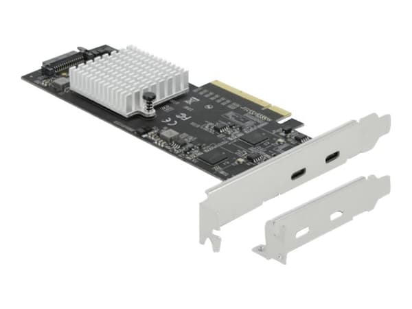 Delock - USB-adapter - PCIe 3.0 x8 lav profil - USB-C 3.2 Gen 2x2 x 2