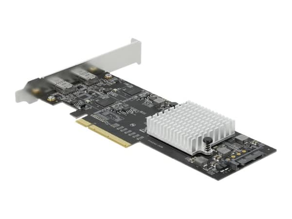 Delock - USB-adapter - PCIe 3.0 x8 lav profil - USB-C 3.2 Gen 2x2 x 2