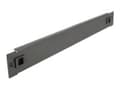 Miniatyrbild 1 av 3: Delock Network Cabinet Blind Cover - Blindpanel till rack - svart - 1U - 19"
