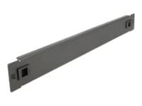 Delock Network Cabinet Blind Cover - Blindpanel till rack - svart - 1U - 19"