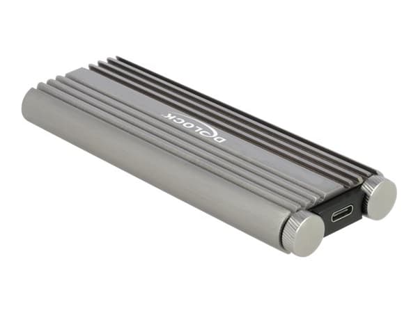 DeLOCK 42001, SSD-kotelo, M.2, M.2, 20 Gbit/s, USB-liitettävyys, Hopea