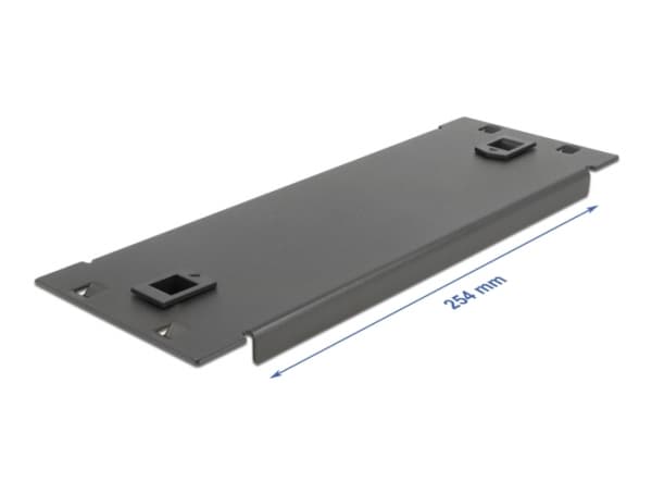 Delock Network Cabinet Blind Cover - Blindpanel till rack - svart - 2U - 10"