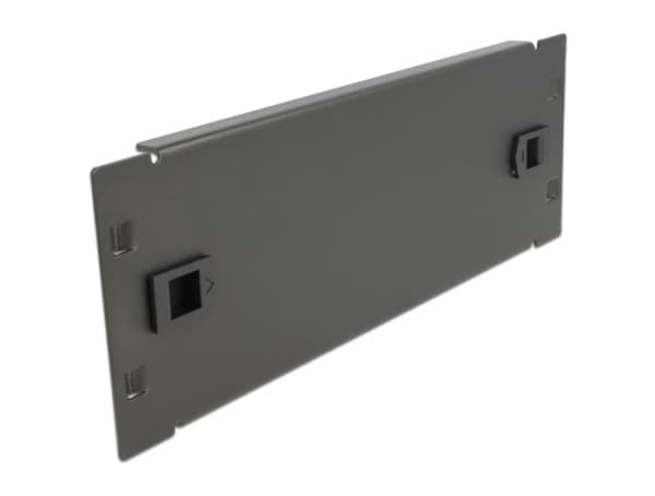 Delock Network Cabinet Blind Cover - Blindpanel till rack - svart - 2U - 10"