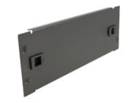 Delock Network Cabinet Blind Cover - Blindpanel till rack - svart - 2U - 10"
