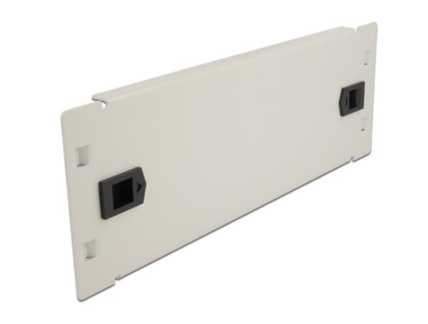 Delock Network Cabinet Blind Cover - Blindpanel till rack - grå - 2U - 10"