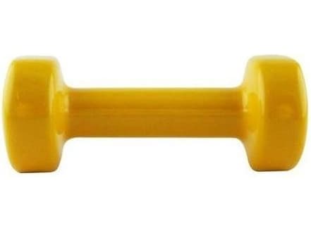 HMS Vinyl coated cast iron weight 1 kg (17023)