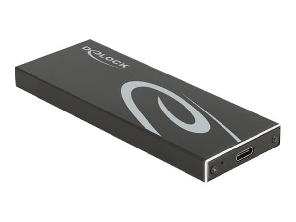 Delock - Lagringspakning - M.2 - M.2 Card / SATA 6Gb/s - USB 3.2 (Gen 2) - sort