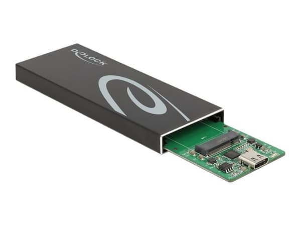 Delock - Lagringspakning - M.2 - M.2 Card / SATA 6Gb/s - USB 3.2 (Gen 2) - sort Sort